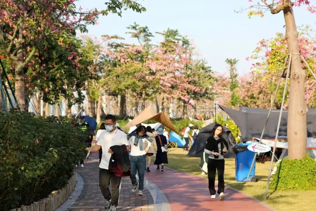 1702865596491311.jpg 3.jpg